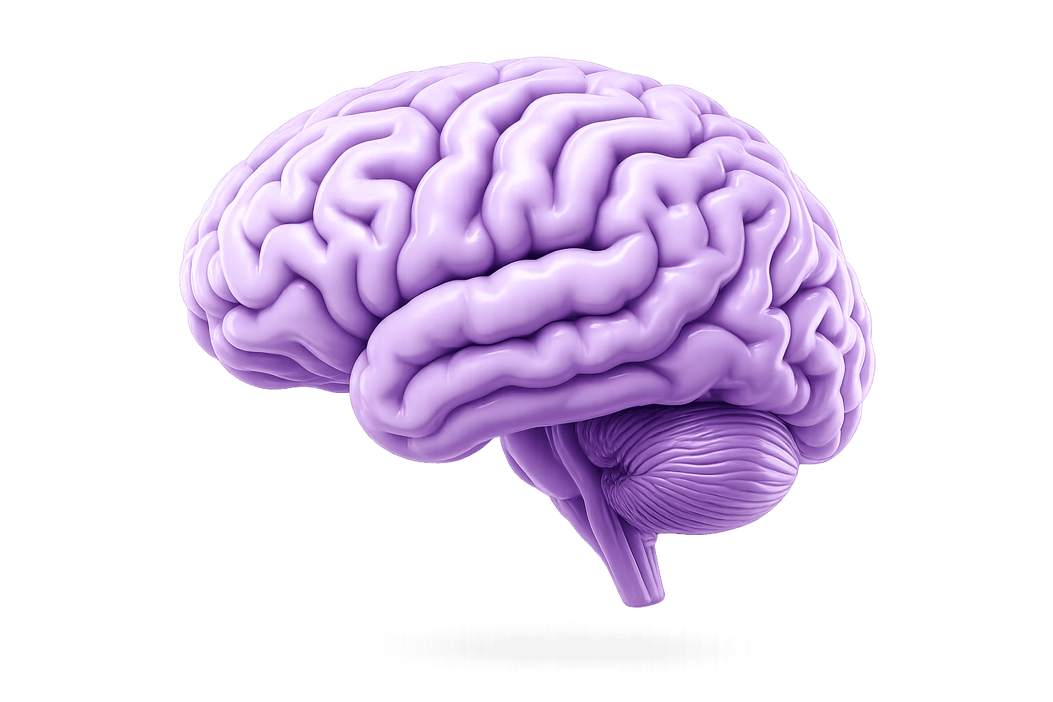 Bienestar Emocional